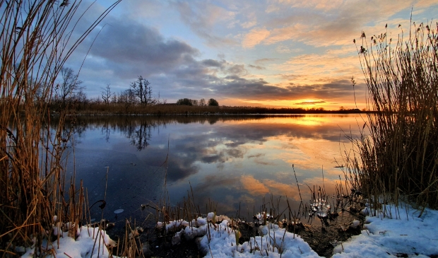 De Alde Feanen