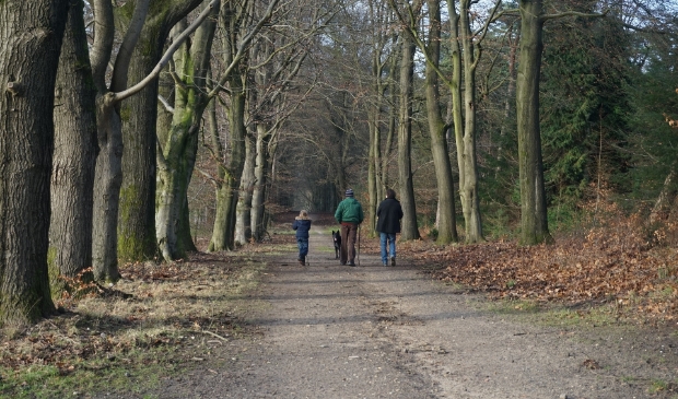 <p>Wandelen is de meest beoefende sport in Nederland.</p>