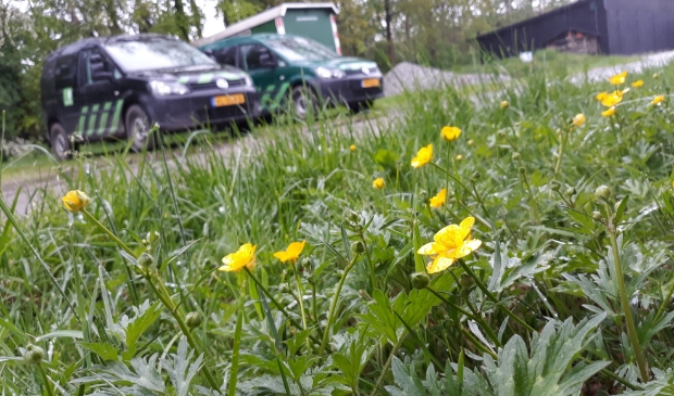 Foto van beheerkantoor in Joure met een stuk gazon dat niet gemaaid is.