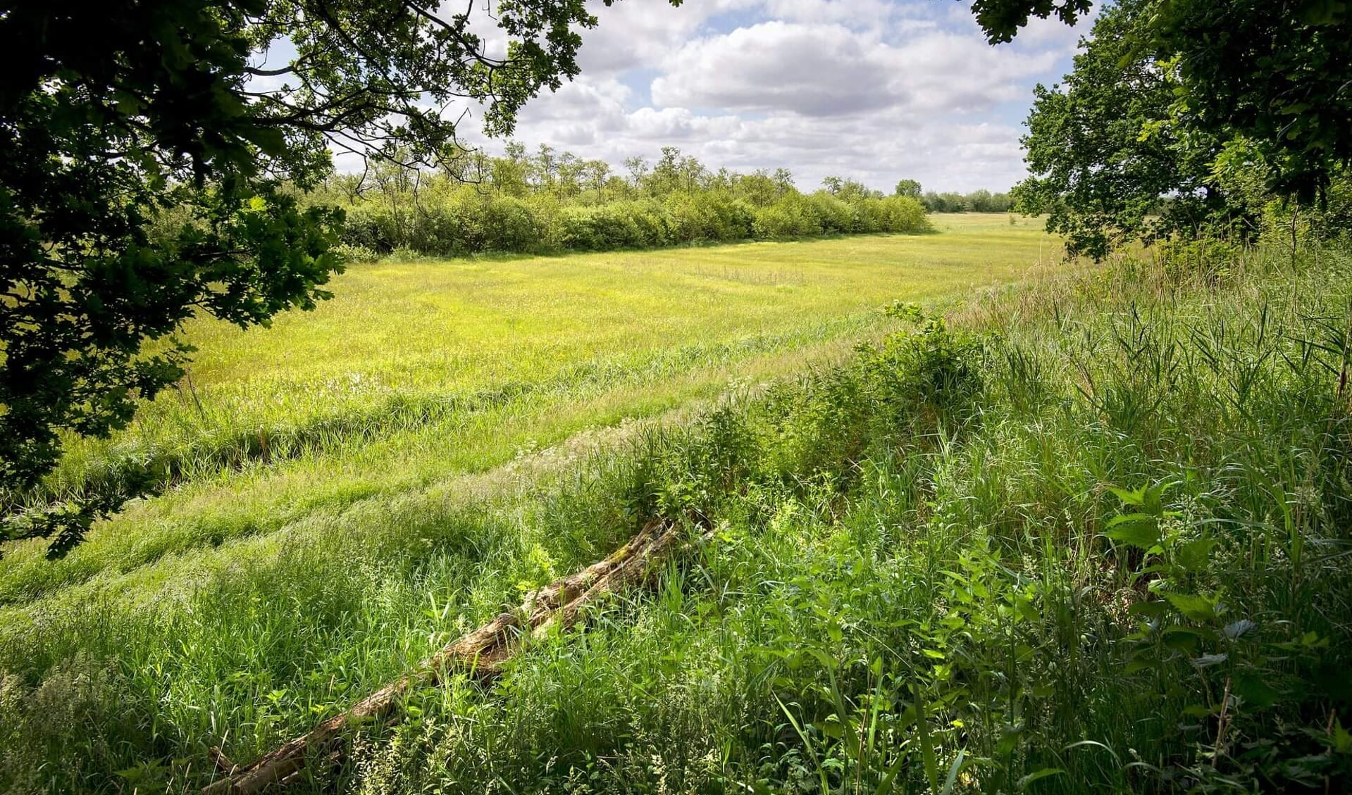 Noordelijk en oostelijk van Quatrebras zijn zonnepaneeldeeltjes in het gras gevonden, door de brand op 20 mei bij Van der Wal Hout.