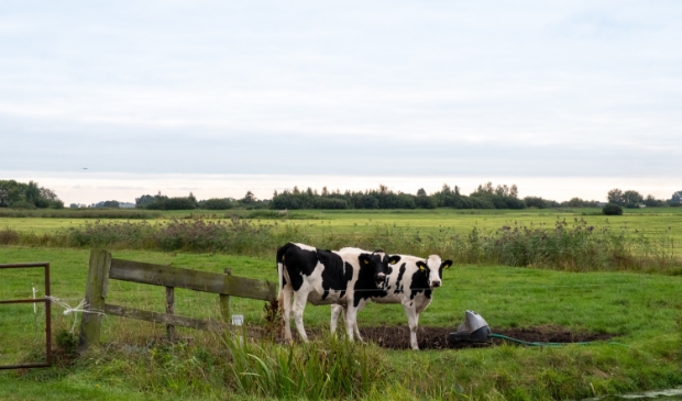 De Hegewarren, een agrarische polder zuidwestelijk van Nationaal Park De Alde Feanen.