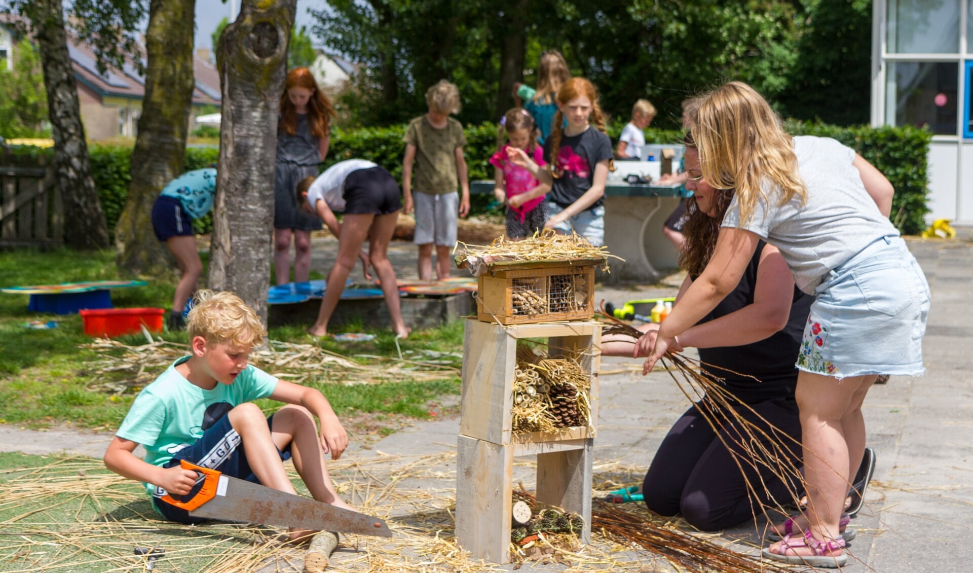 De kinderen maken zestien kubussen die samen een insectenhotel vormen. 