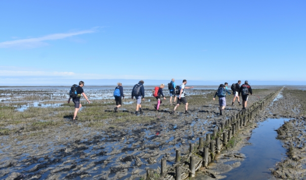 <p>Een Wadloopgroep gaat richting Ameland. Rechts Wadloopgids Wim Spijk.</p>
