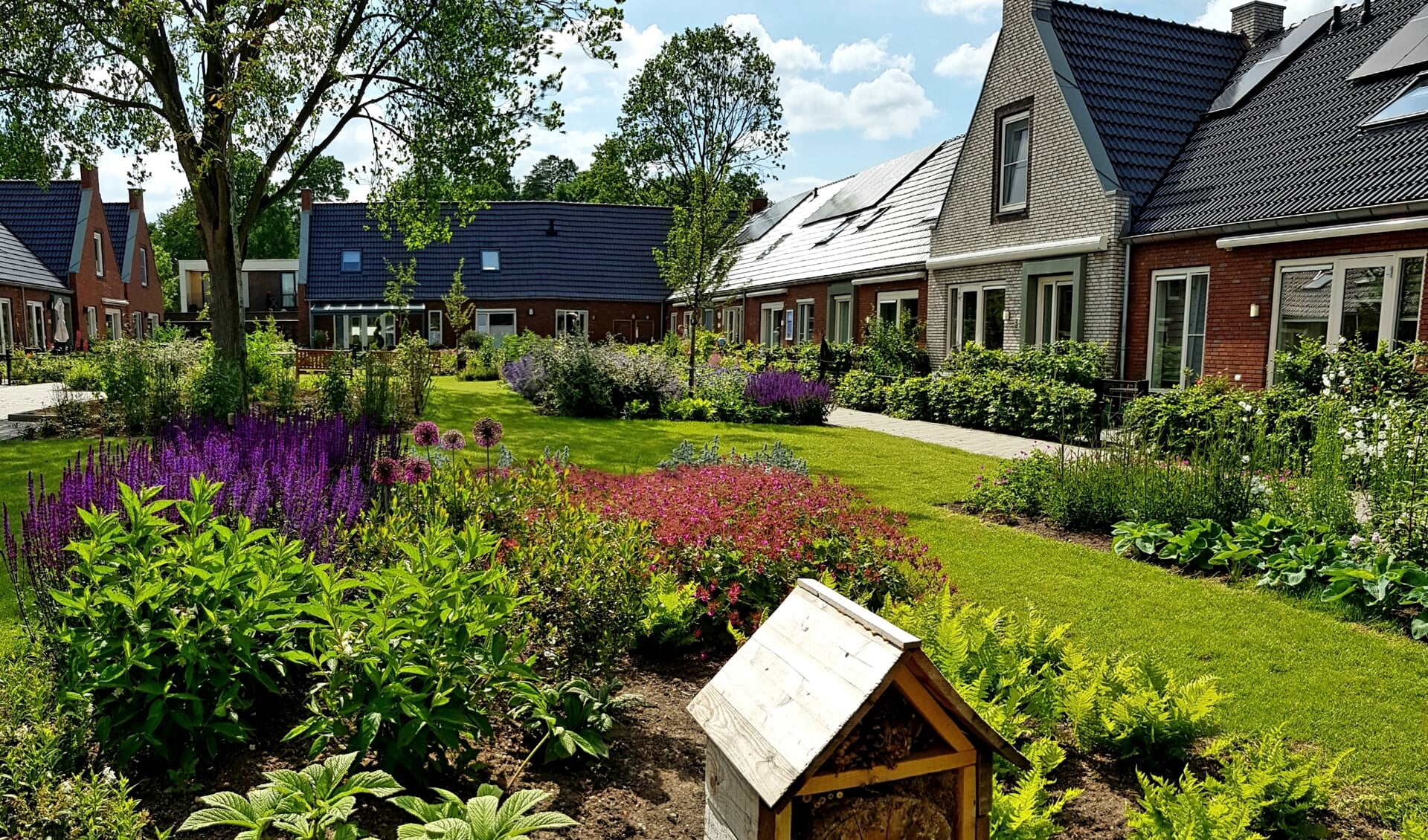 De Aahof in Zwolle, voorbeeld van een Knarrenhof, met in dit geval ook een 'bijenhotel'.