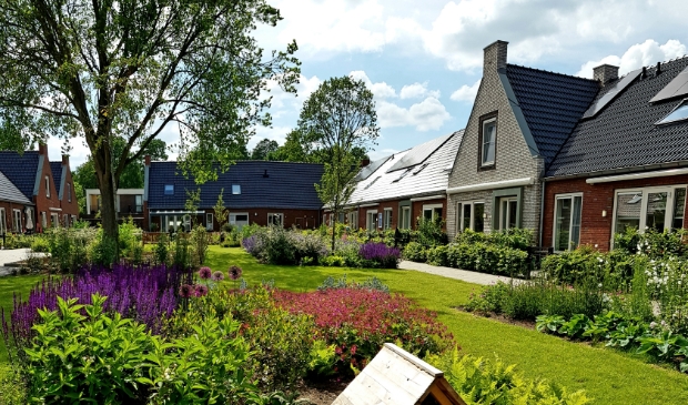 <p>De Aahof in Zwolle, voorbeeld van een Knarrenhof.</p> 