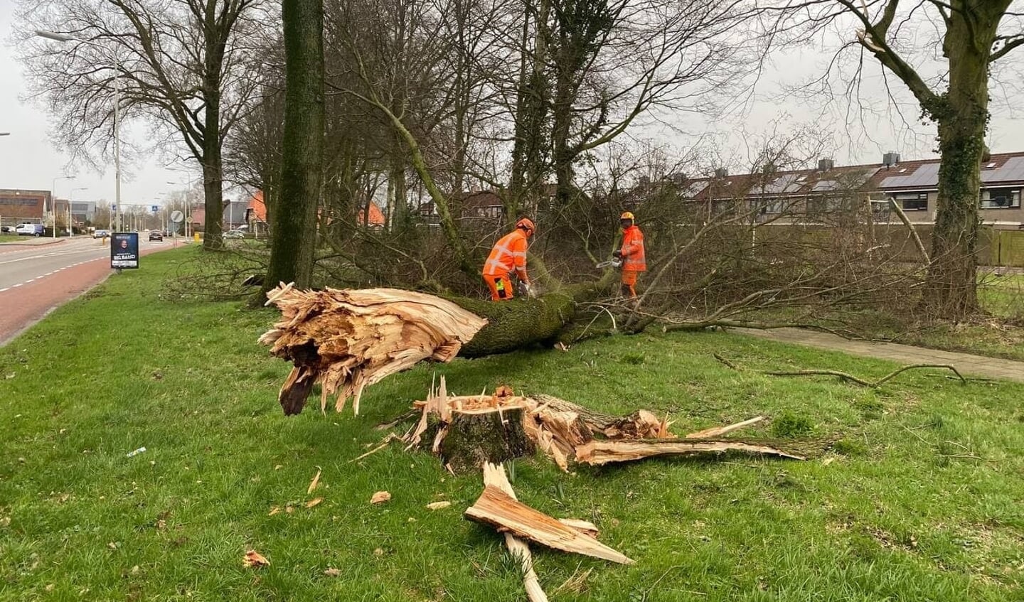 Een omgevallen boom aan de Noorderdwarsvaart in Drachten