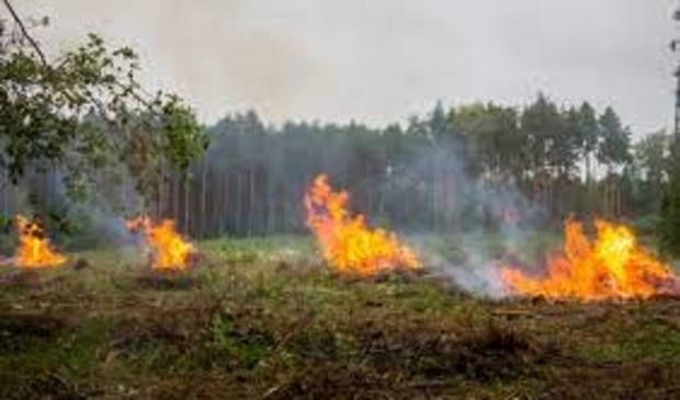 Vanwege de huidige droogte geldt extra risico op natuurbranden. 