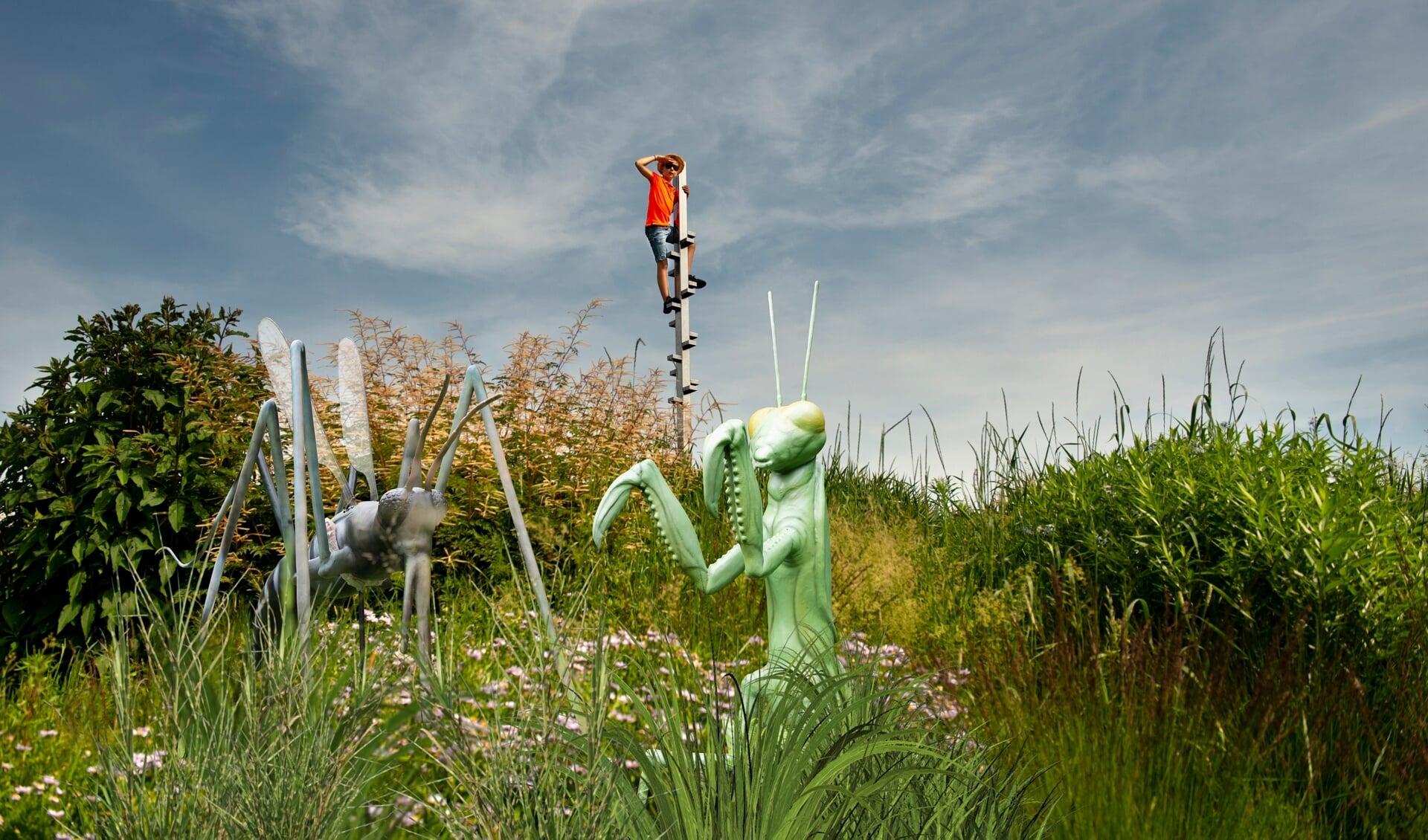 Impressie van het project Giga Insecta in Park Vijverburg.