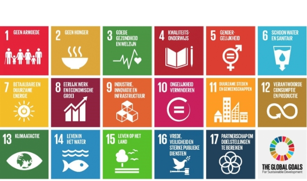<p>De 17 Global Goals van de VN.</p> 