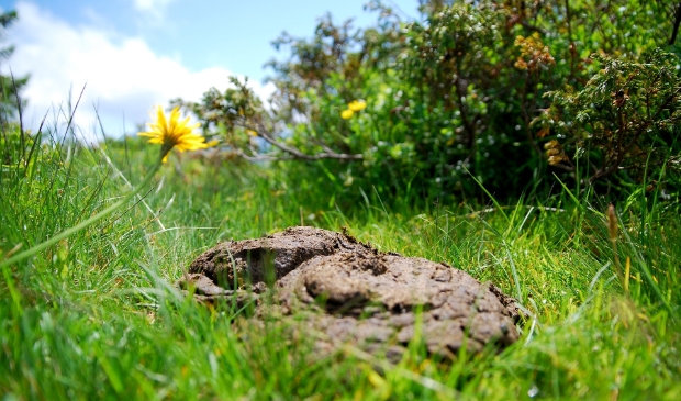 Oproep om poep en plas te doneren