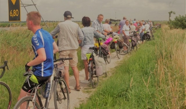 Beeld van fietsvierdaagse 2017