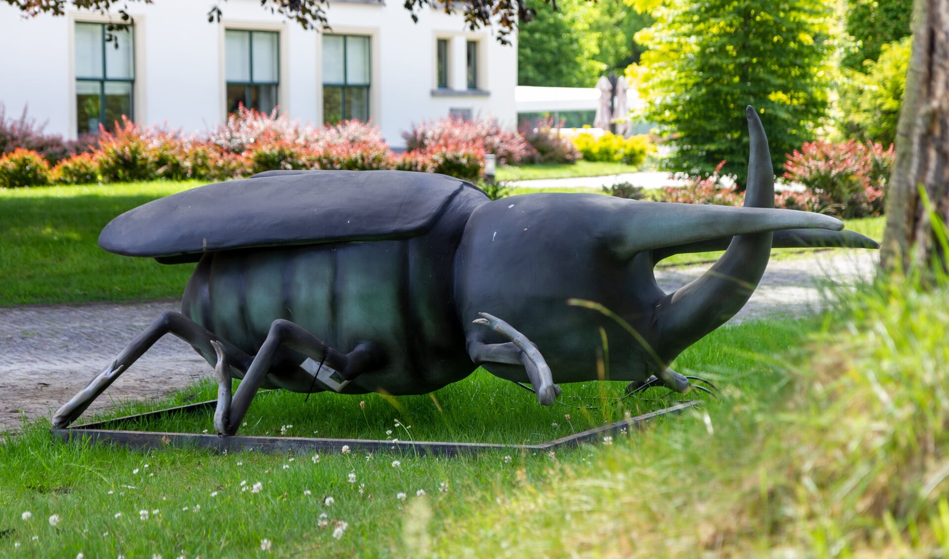 Een enorme kever in Park Vijversburg. Het beeld is later nog verplaatst naar een andere plek in het park.