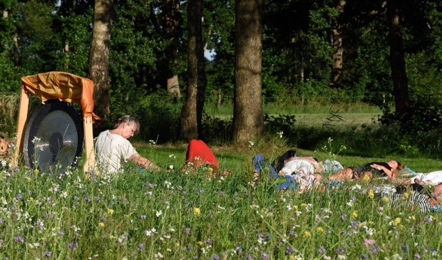 <p>Een klankreis in de theetuin in Ryptsjerk. </p>