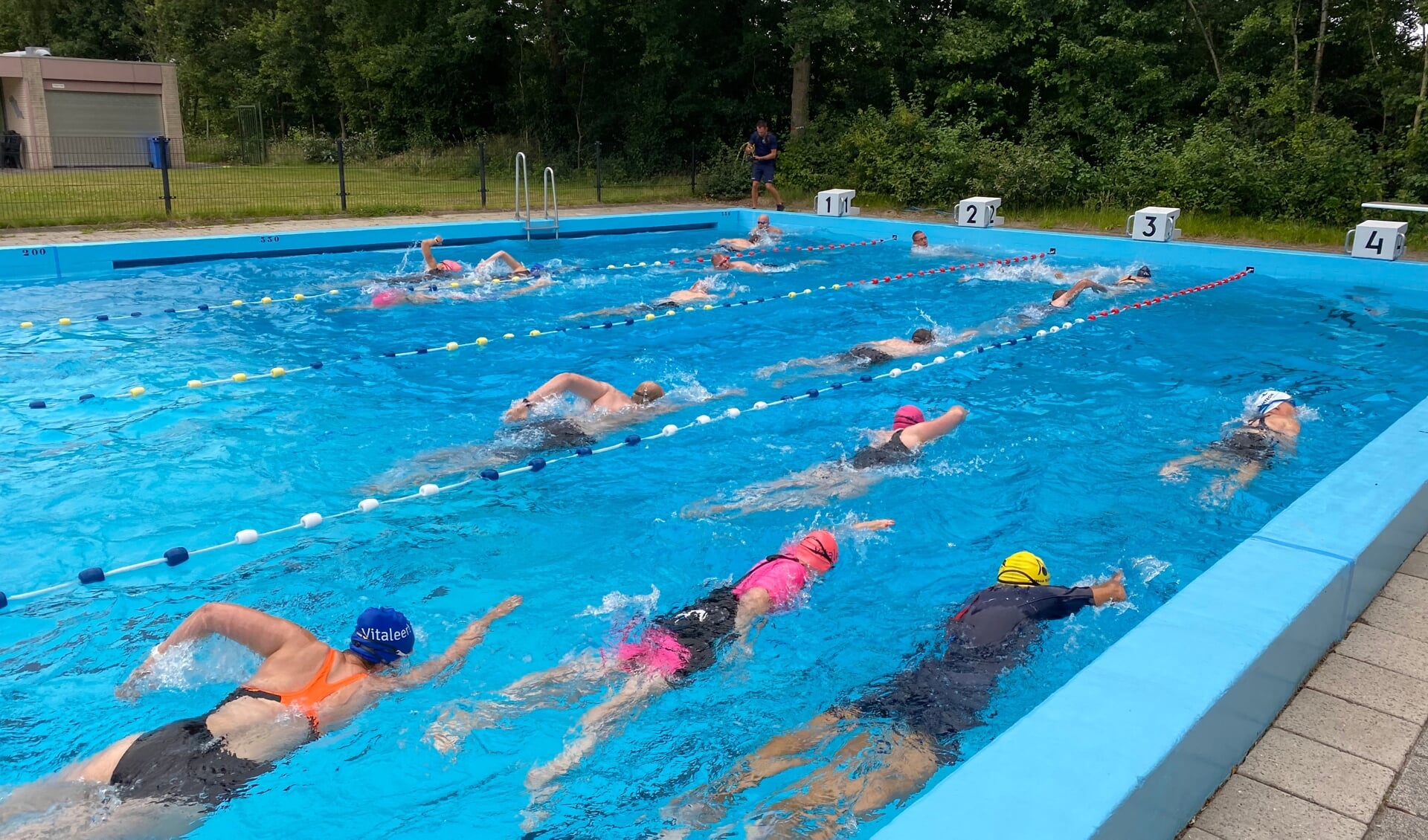 Deelnemers in het zwembad.