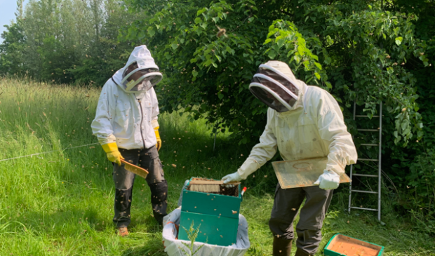 Imkers aan het werk bij een bijenkast. 