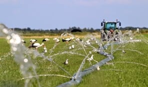 Vanaf woensdag treedt nationaal hitteplan in werking