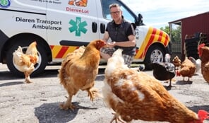 Extra bezoektijden vogelopvang Fûgelpits