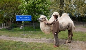Reizend Festival Overmorgen strijkt neer in De Lawei
