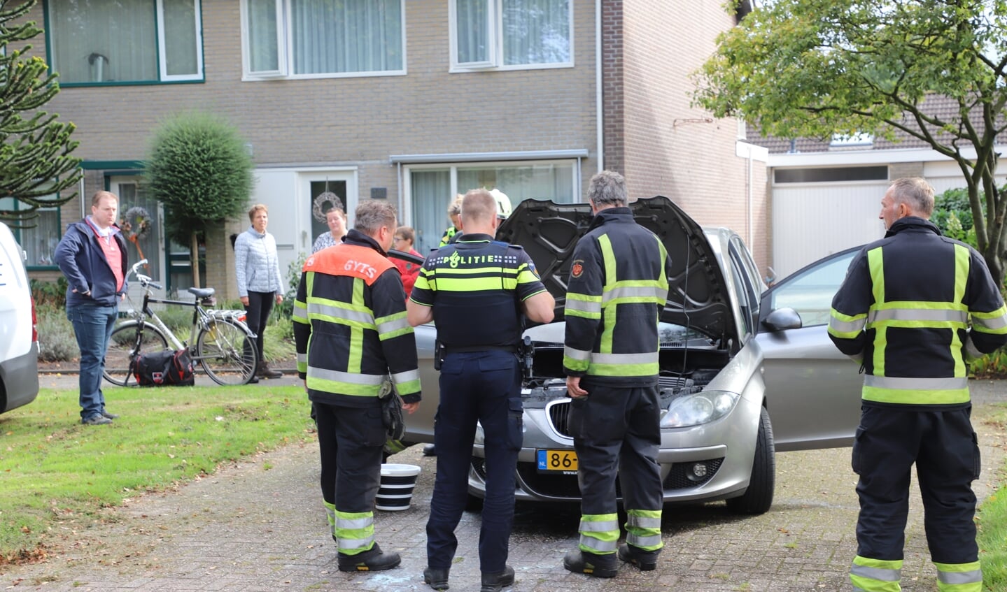 Afbeelding