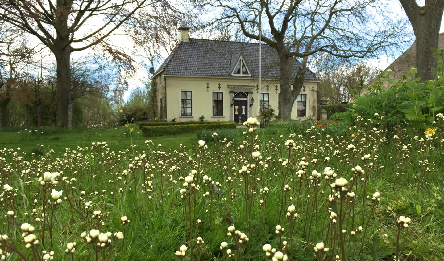 Harsta State met op de voorgrond Haarlems klokkenspel, een echte stinzenplant.