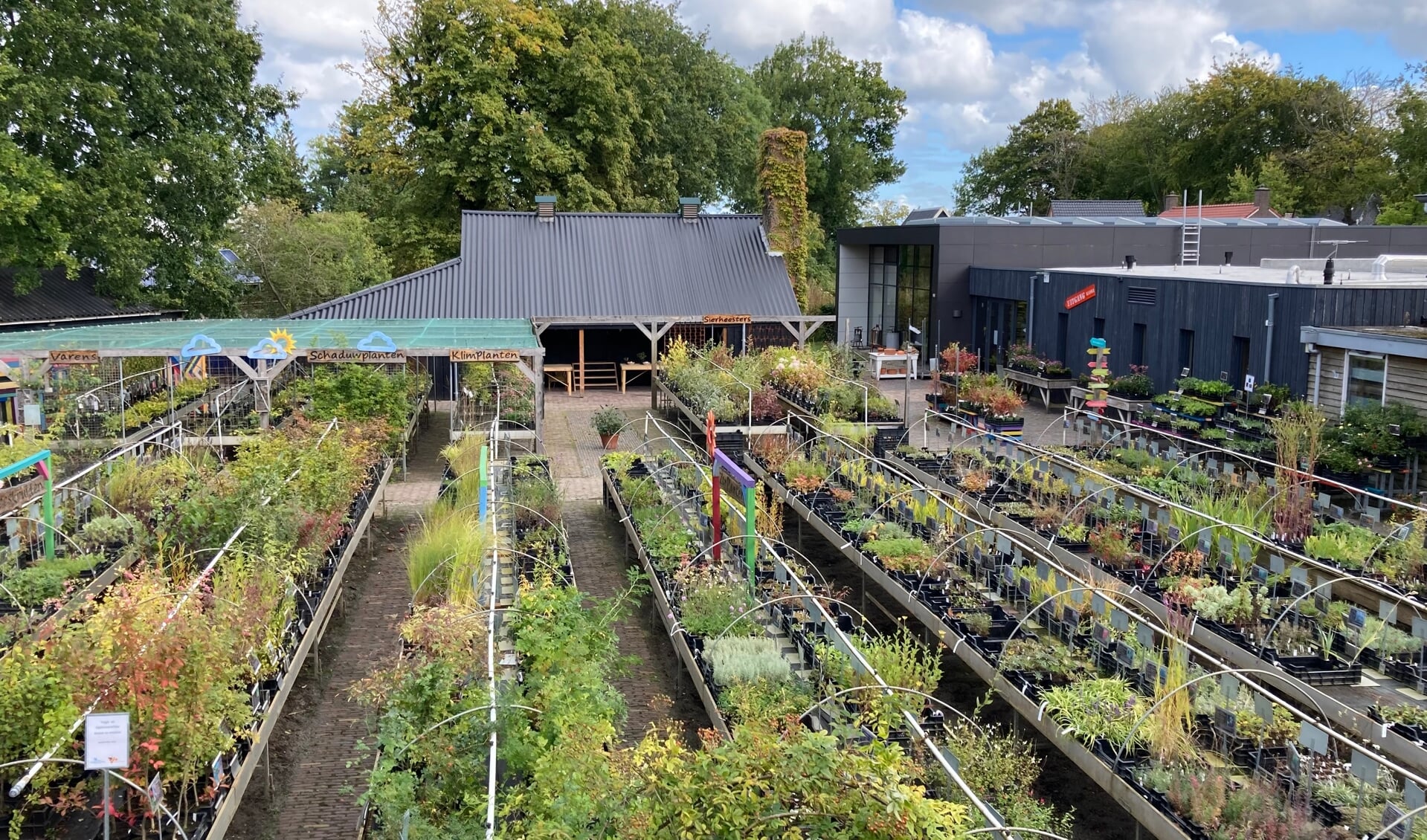 Planten, struiken en bomen weg met 50% korting.