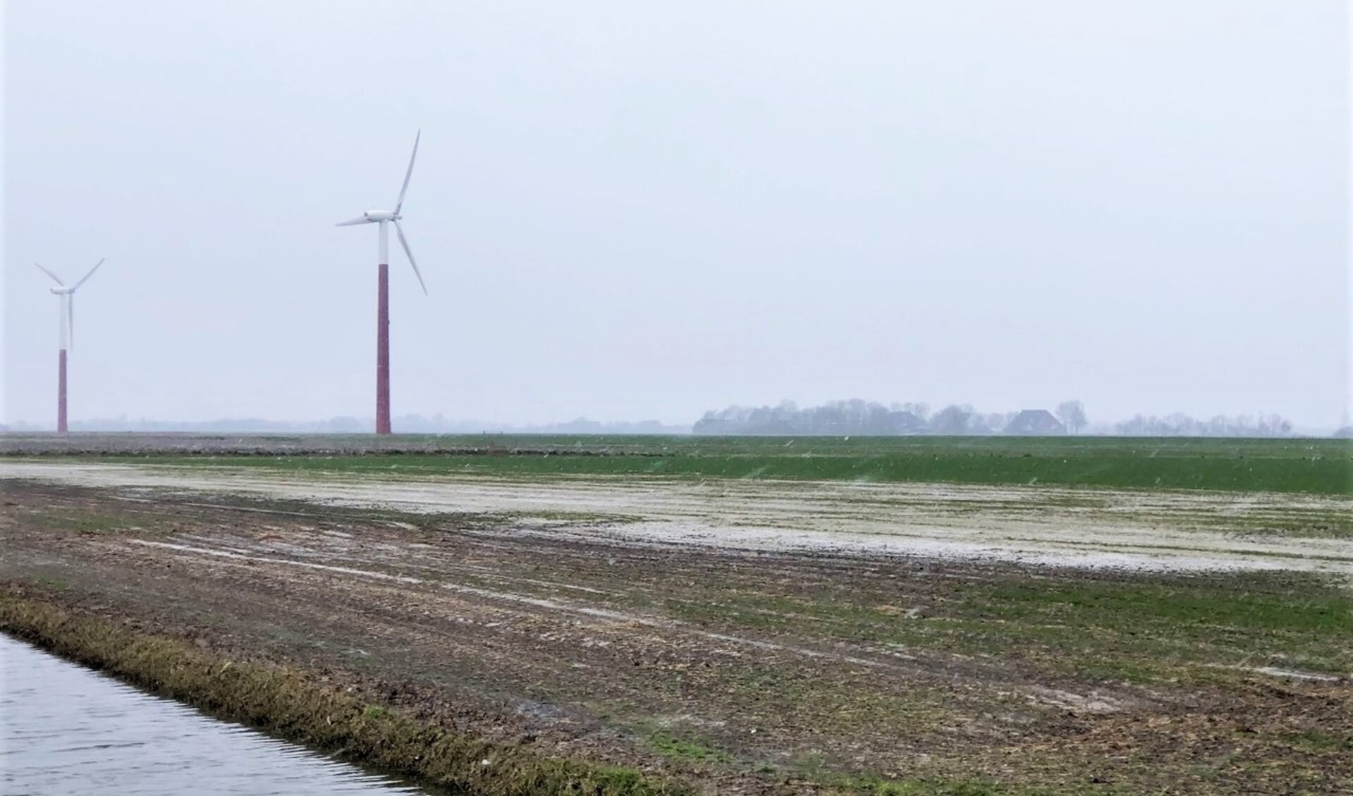 Verzilting van de bodem is een toenemend probleem in Friesland, Nederland en andere deltagebieden.