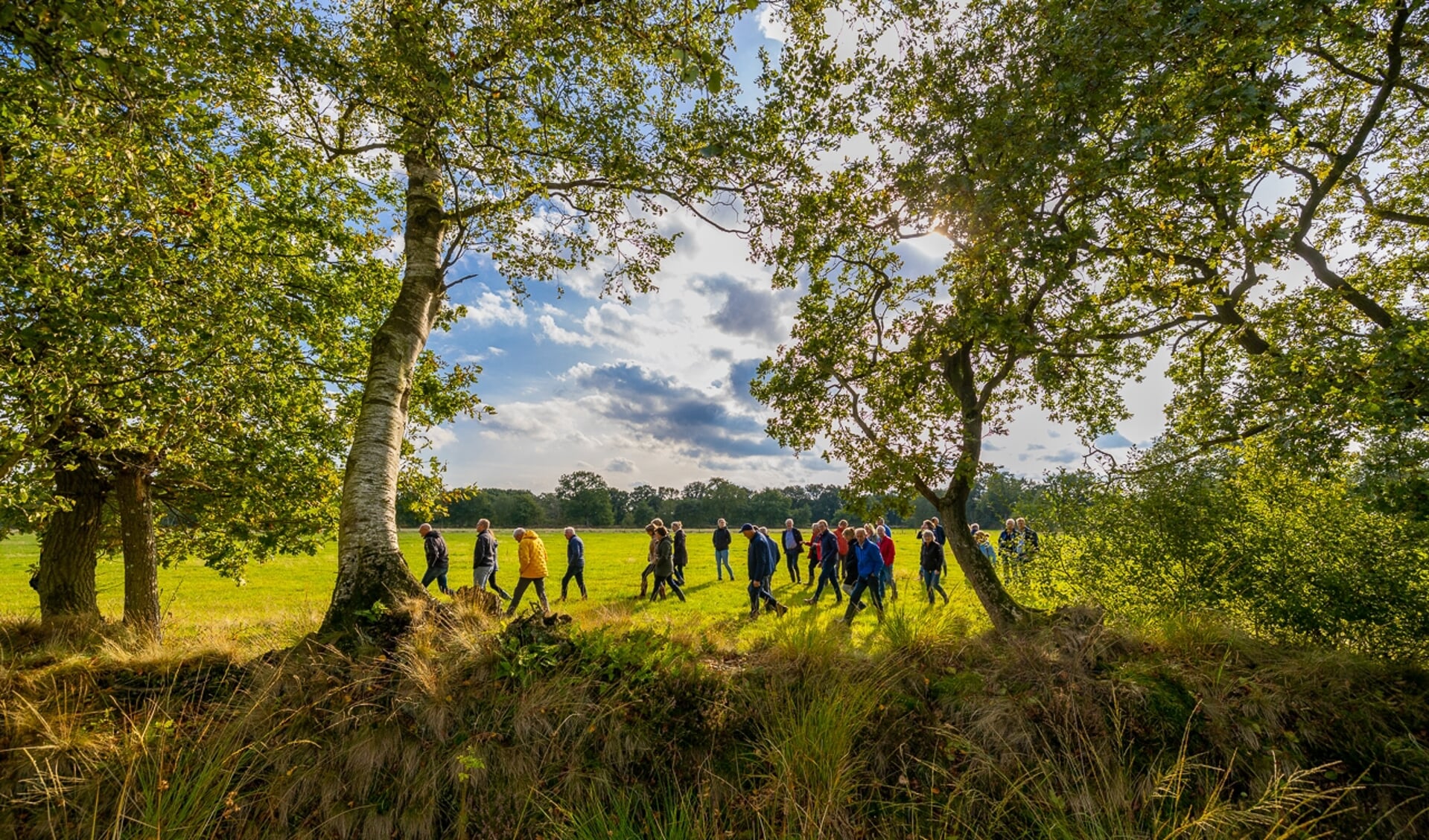 Ontdek het waardevolle boerenland van Nationaal Landschap Noardlike Fryske Wâlden Al het Ontdek het waardevolle boerenland van Nationaal Landschap Noardlike Fryske Wâlden Al het