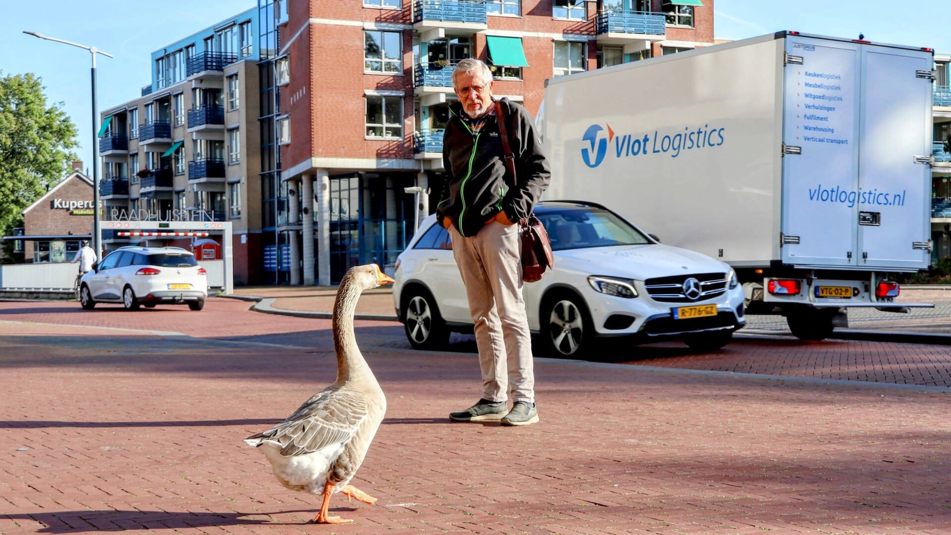 Bezorgde bewoner Anne Pieter van Dijk helpt Chinese knobbelgans Puk in Drachten oversteken naar het park