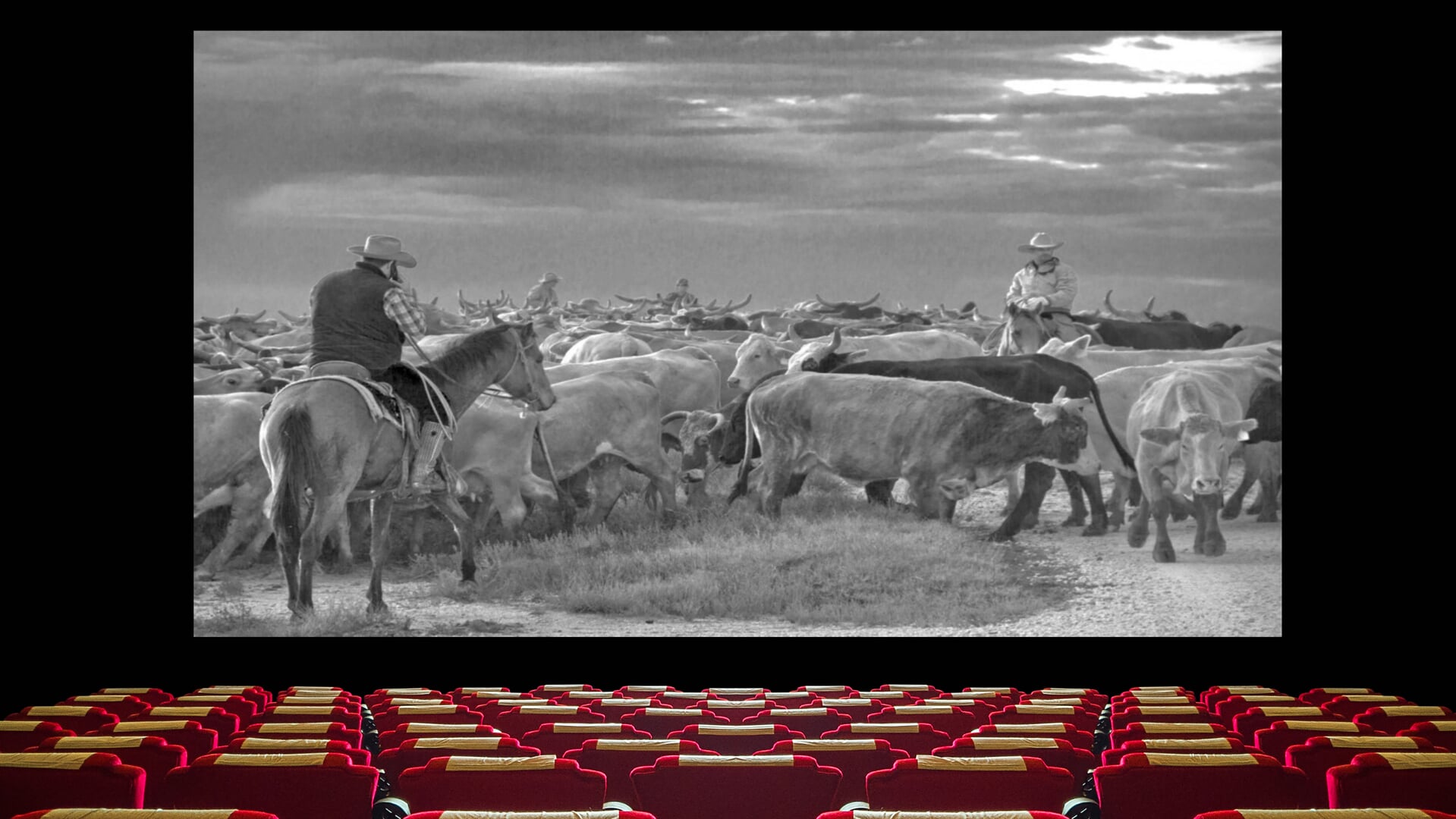 Boeren spelen de hoofdrol tijdens de filmavond bij het Fries Landbouw Museum tijdens Museumnacht Friesland op zaterdag 30 september 2023