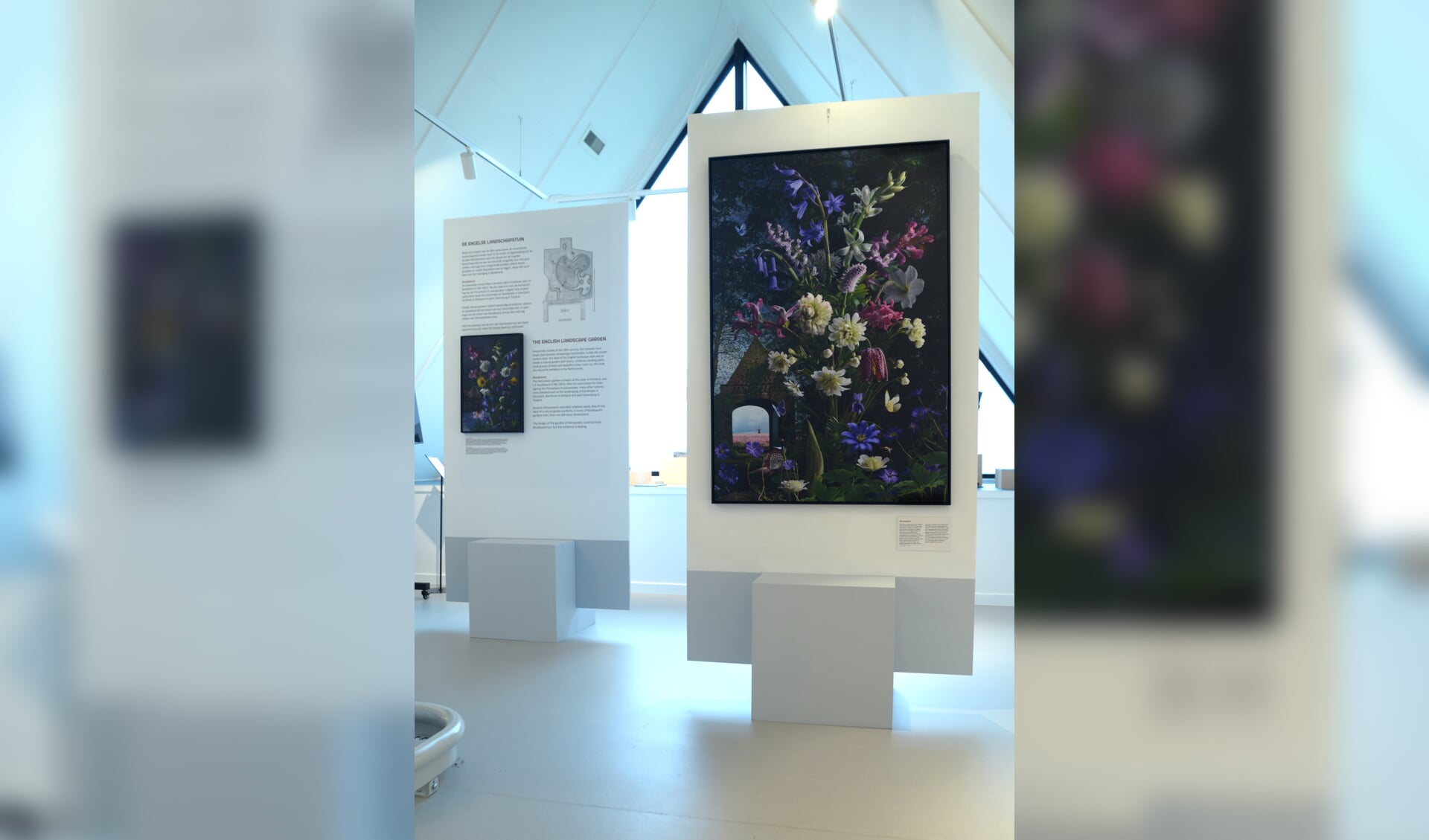 De expositie van Irene Feenstra combineert prachtige stillevens met interessante informatie over stinzenflora.