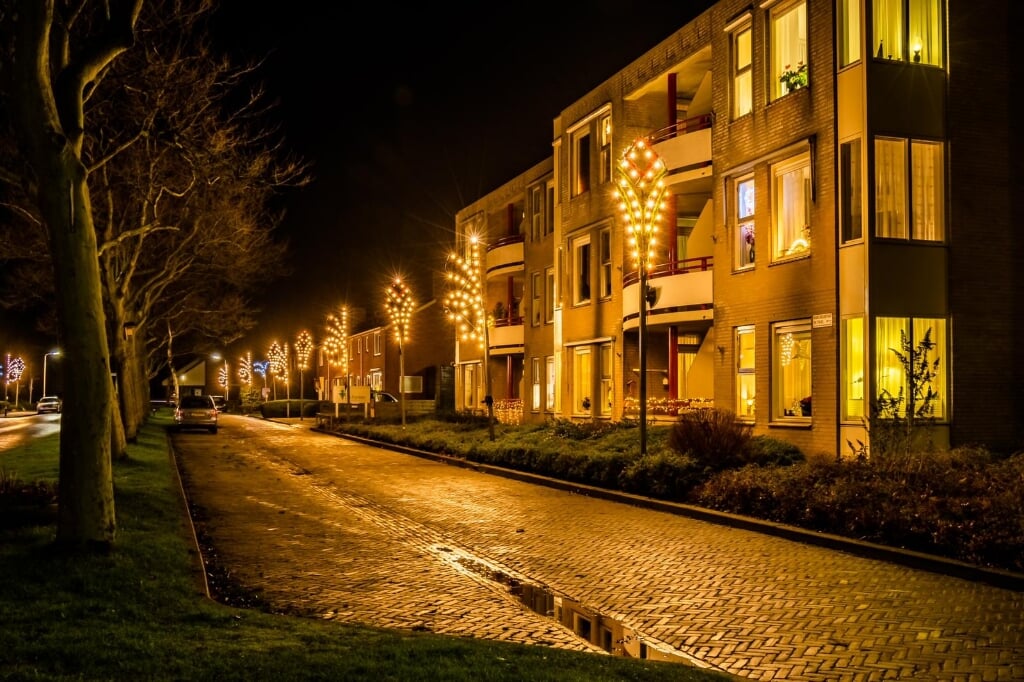 Ruim zestig straten in Buitenpost zijn versierd voor de Winterlichtroute.