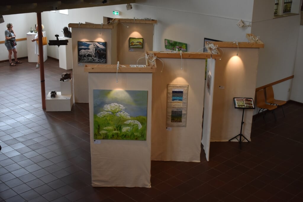 Een kunstexpositie in Buitenpost, begin augustus 2021. De gemeenteraad wil ook meer exposities in andere dorpen van Achtkarspelen.