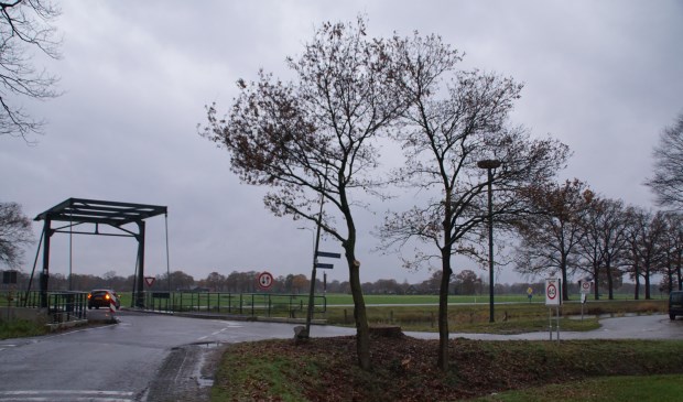 De eik voor en na de verwijdering