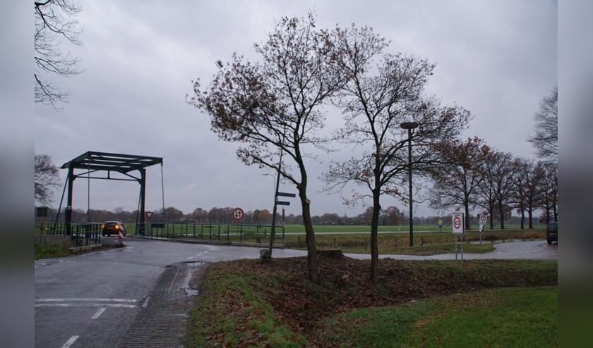 De eik voor en na de verwijdering