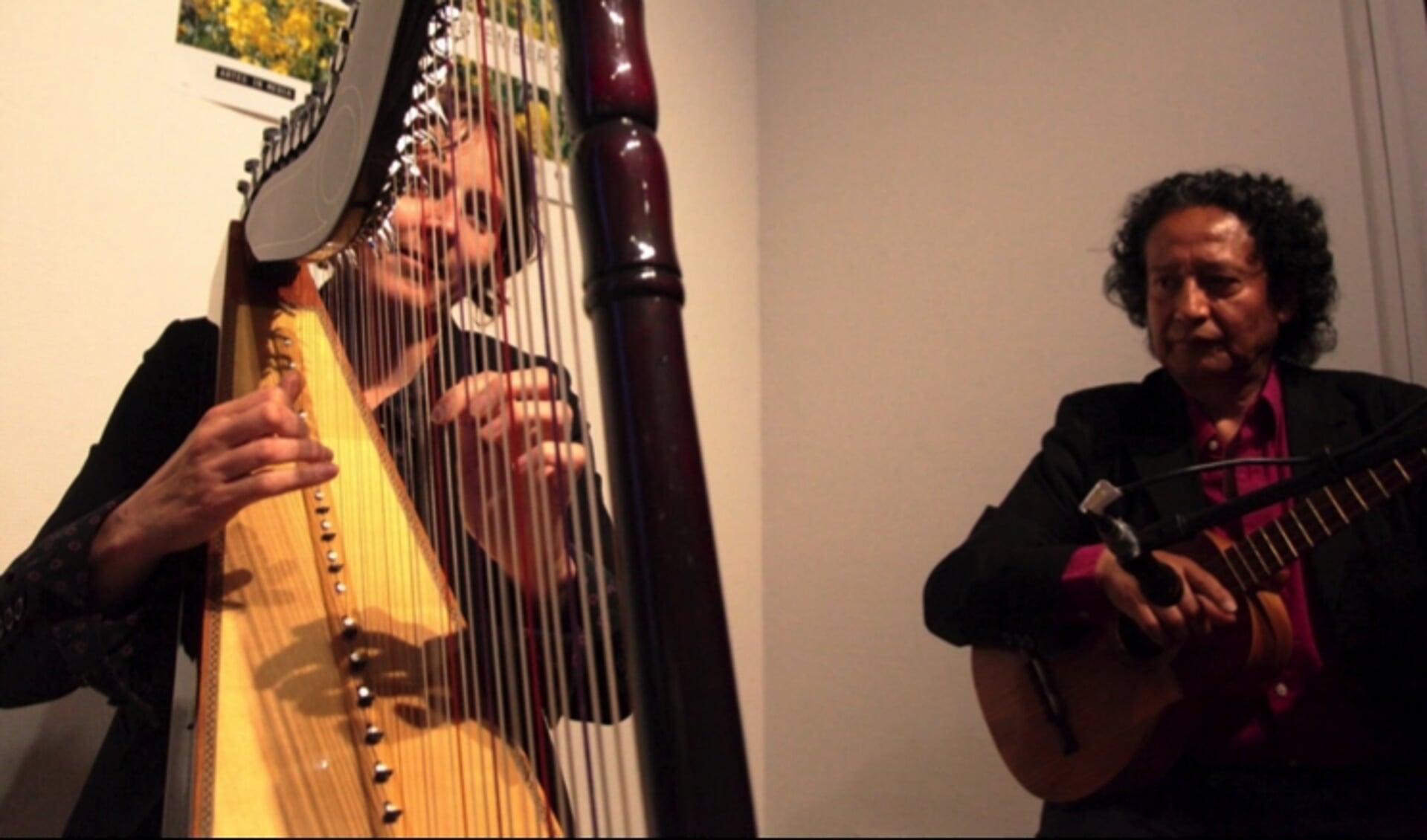 Ineke Herstel (harp) en Jose Luis Fuentes Zarate