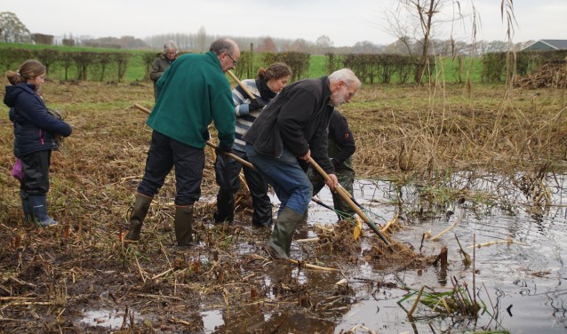 Poelenwerkgroep