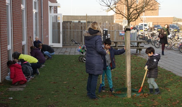 Bollen planten bij groen schoolplein