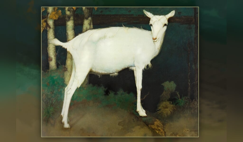 Jan Mankes, jonge witte geit. Foto: Collectie MMKA