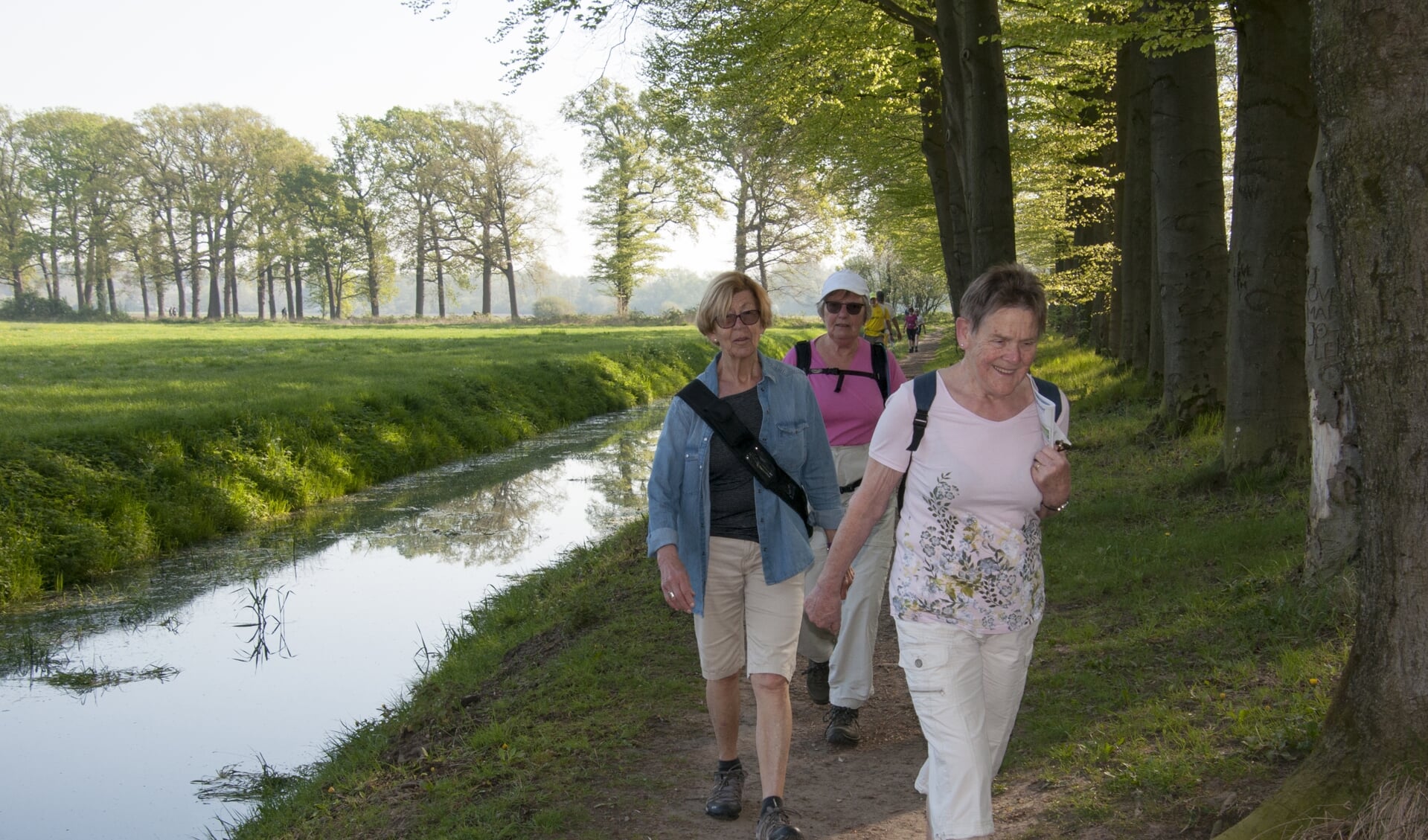 Een groepje wandelaars in 't Hammeler bij Brummen. Foto: Marion Verhaaf