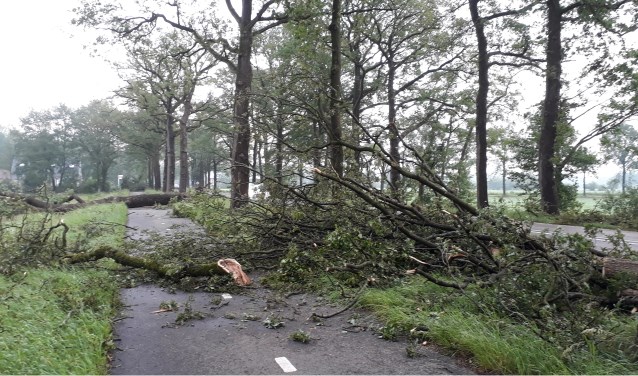Het fietspad langs de Eerbeekse weg tussen Brummen en Eerbeek lag bedolven onder omgewaaide bomen. Foto: Marion Verhaaf