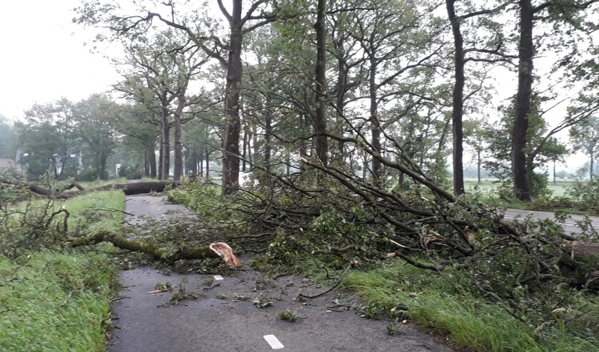 Het fietspad langs de Eerbeekse weg tussen Brummen en Eerbeek lag bedolven onder omgewaaide bomen. Foto: Marion Verhaaf