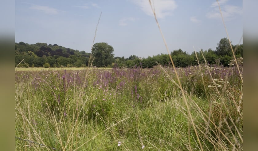 Natuurmonumenten, Genhoes route, gele route, Valkenburg aan de Geul, augustus 2015.