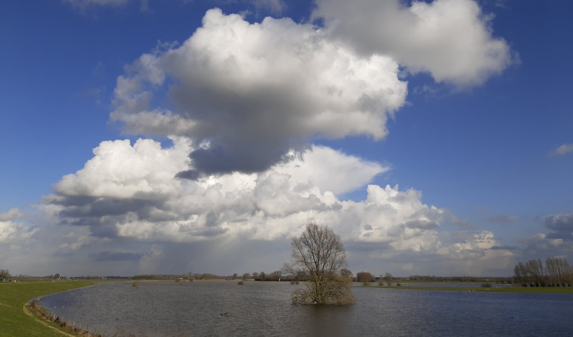 Een prachtige wolkenlucht boven de uiterwaarden van de IJssel bij Brummen op 3-3-2020. Foto: Marion Verhaaf
