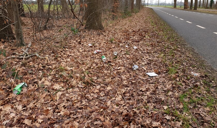 <p>Zwerfvuil langs de Hallse weg</p>