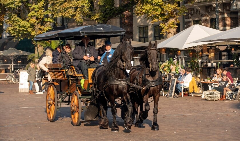 <p>Paardentram in Deventer</p>