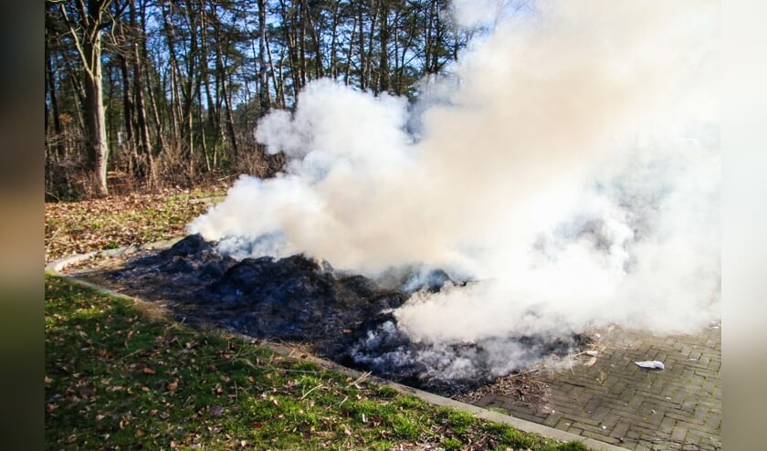 <p>Foto: Dennis van Bemmel</p>