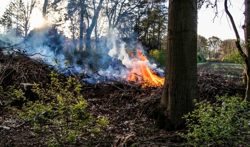 <p>Foto: Dennis van Bemmel</p>