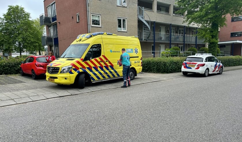 <p>Foto: Dennis van Bemmel</p>