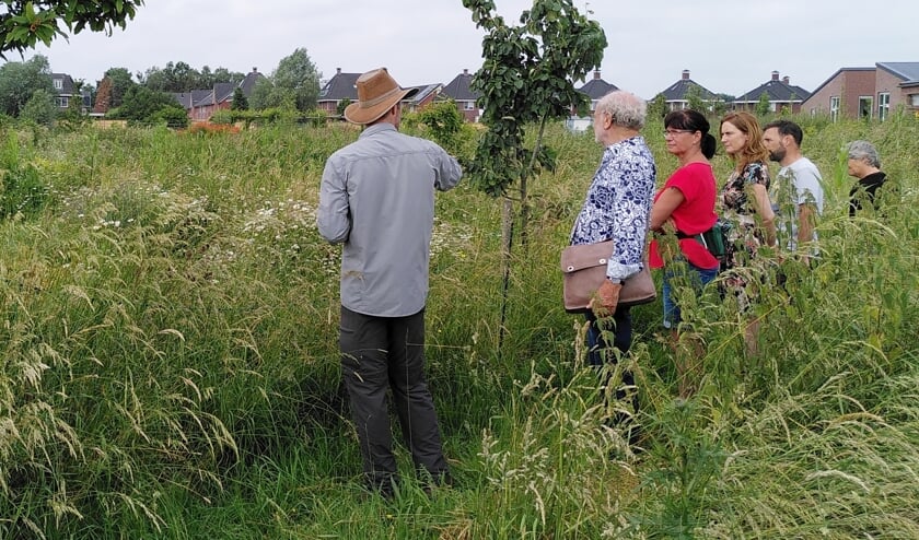 <p><strong>Zomerse rondleidingen in Brummens voedselbos</strong></p>