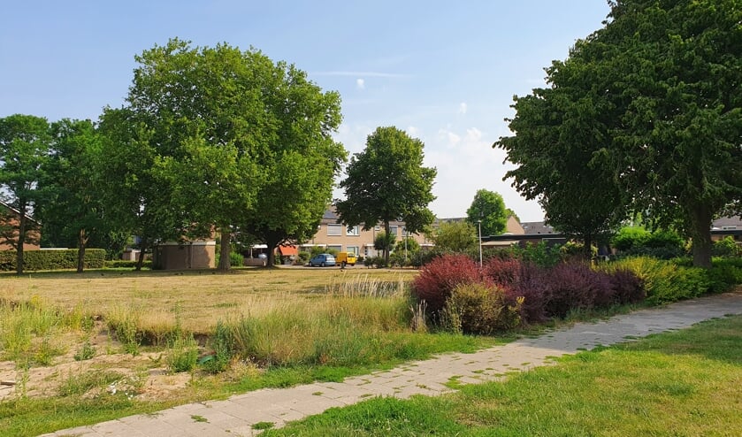 <p>Locatie Krullevaar. Foto: Guus van de Linde</p>